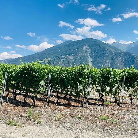 公寓 La Tulipe, Mountain View, Terrace, Bbq *