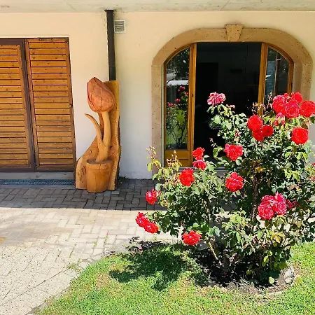 公寓 La Tulipe, Mountain View, Terrace, Bbq 南达