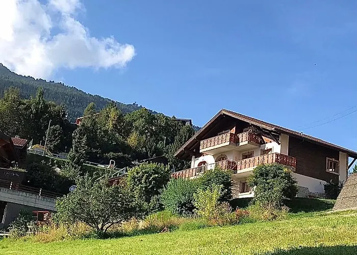 La Tulipe, Mountain View, Terrace, Bbq Nendaz