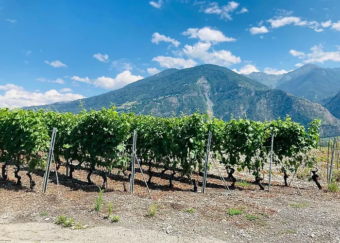 Appartamento La Tulipe, Mountain View, Terrace, Bbq *