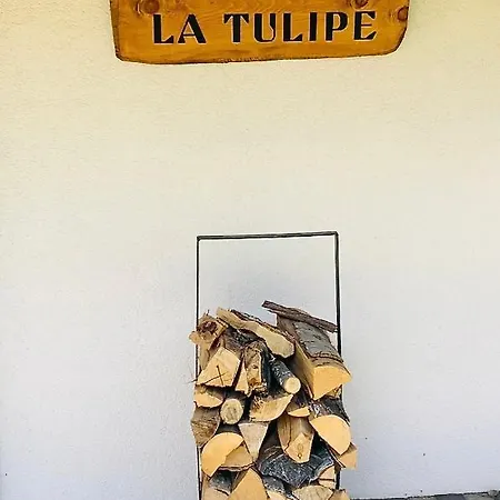 La Tulipe, Mountain View, Terrace, Bbq * Nendaz